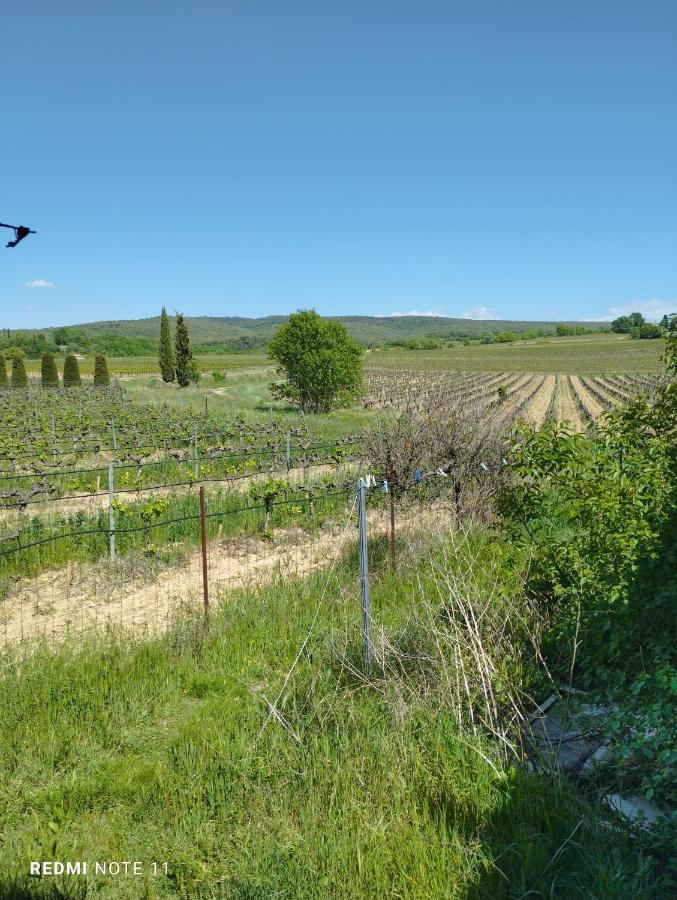 Chambre D Hotes En Provence, Au Pied Du Luberon, Les Coquelicots La Tour-dʼAigues エクステリア 写真