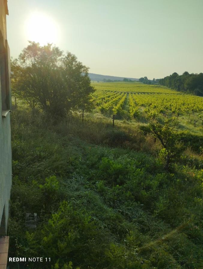Chambre D Hotes En Provence, Au Pied Du Luberon, Les Coquelicots La Tour-dʼAigues エクステリア 写真